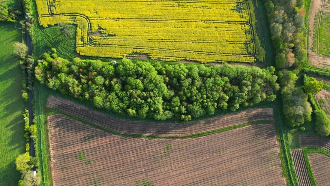 Land in Wolverley, England 4 - 18596352