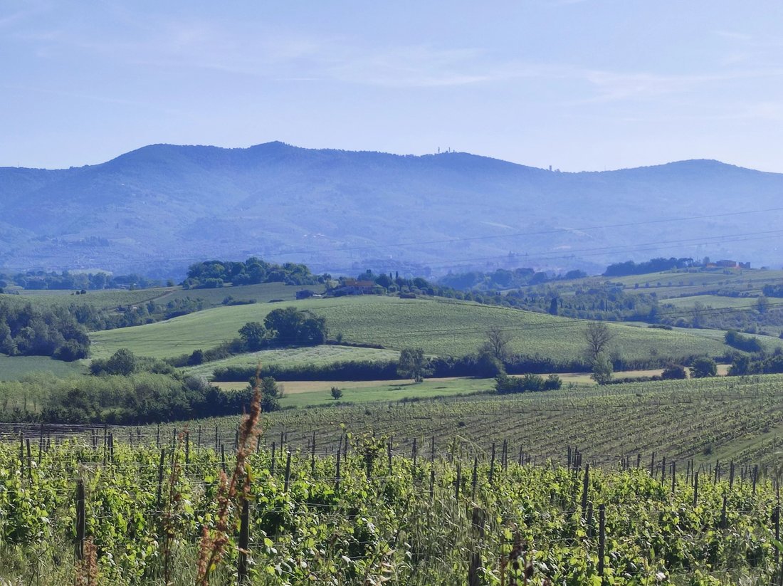 Estate in Center, Cerreto Guidi, Tuscany 1 - 18598335