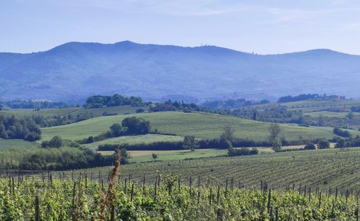 Estate in Center, Cerreto Guidi, Tuscany 1