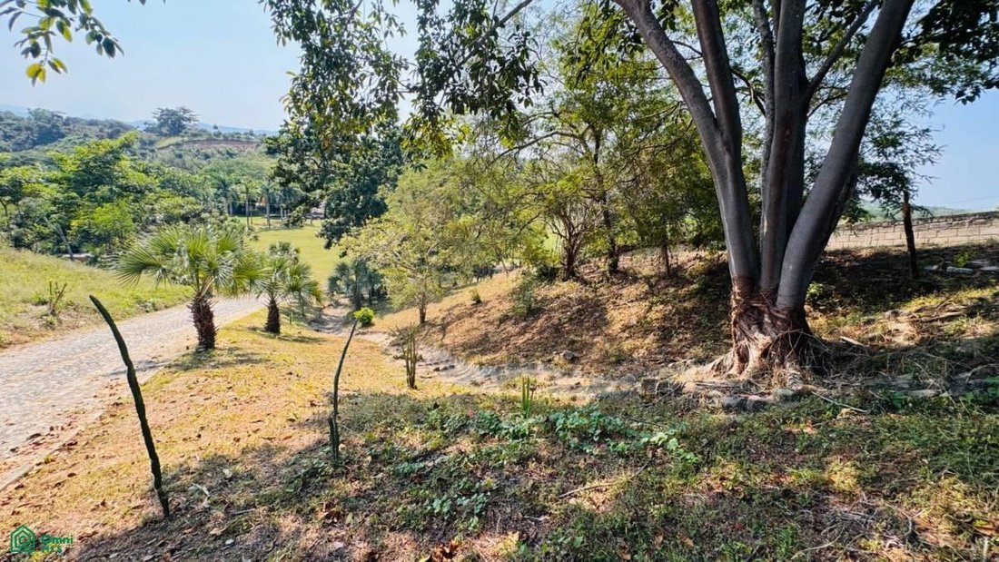 Land in Las Palmas de Arriba, Jalisco, Mexico 4 - 17811036