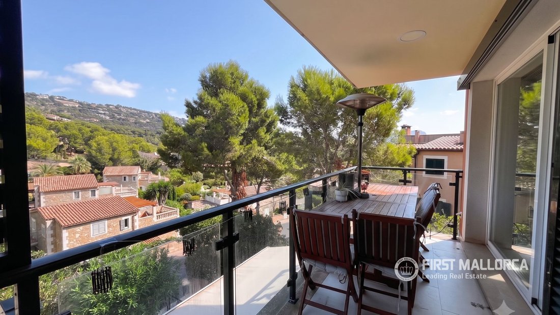 Apartment in Port d'Andratx, Andratx, Balearic Islands 2 - 18602662