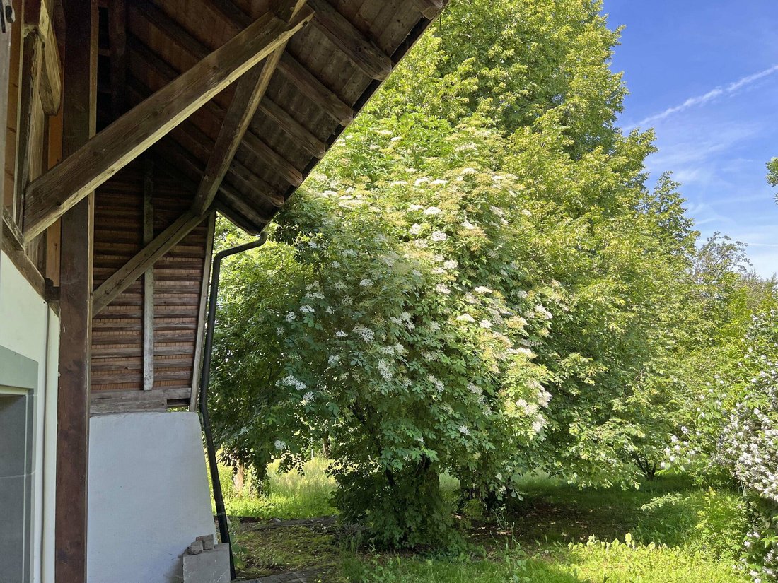 Casa en Gibloux, Friburgo, Suiza 2 - 18599903