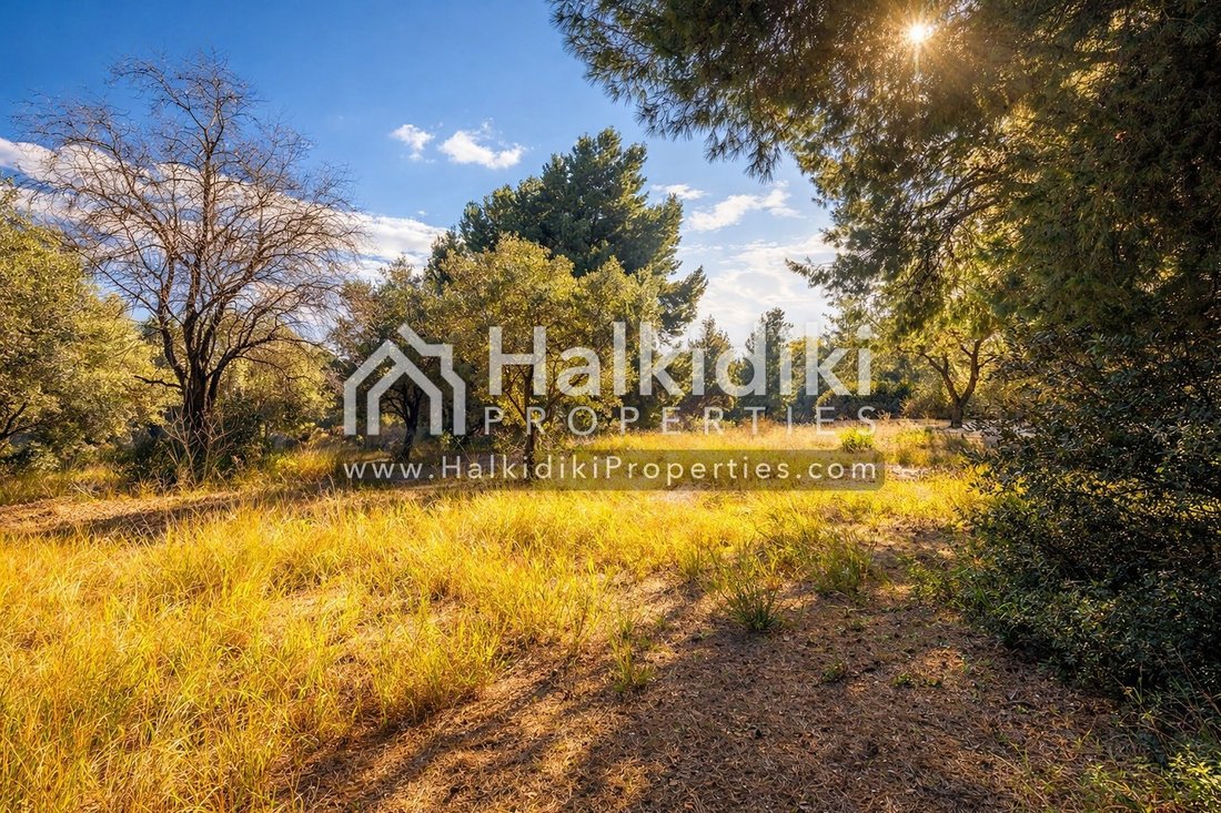 Land in Sithonia, Macedonia and Thrace, Greece 3 - 11865149