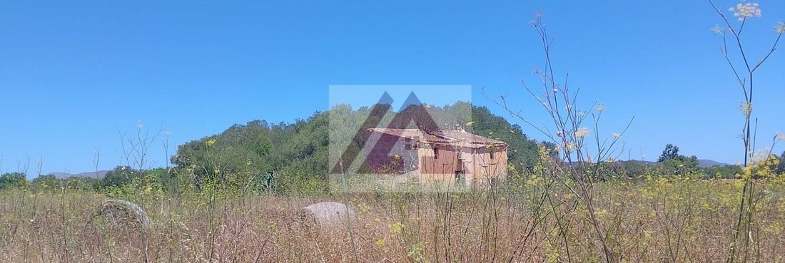 Land in Manacor, Balearic Islands, Spain 2 - 18596828