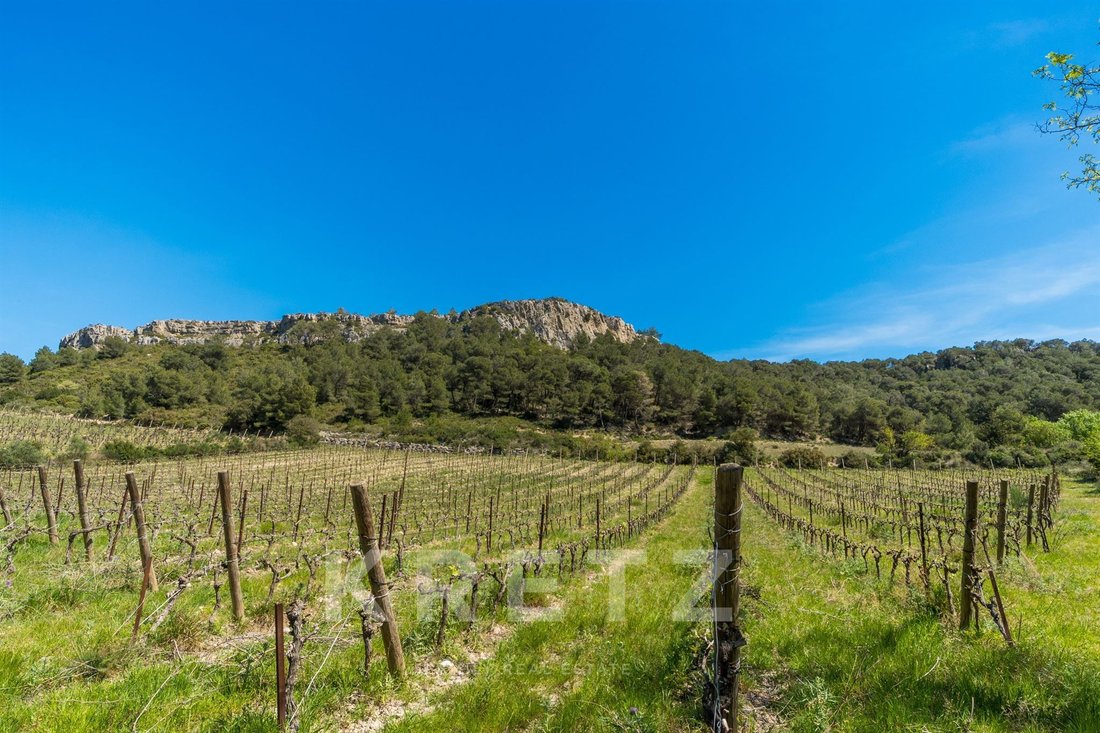 Farm Ranch in Bourg-Charité, Narbonne, France 3 - 18598825