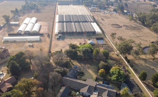 Domaine en Nestpark AH, Gauteng, Afrique du Sud 1