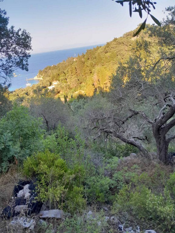 Land in Paxi, Peloponnese, Western Greece and the Ionian, Greece 3 - 18596846
