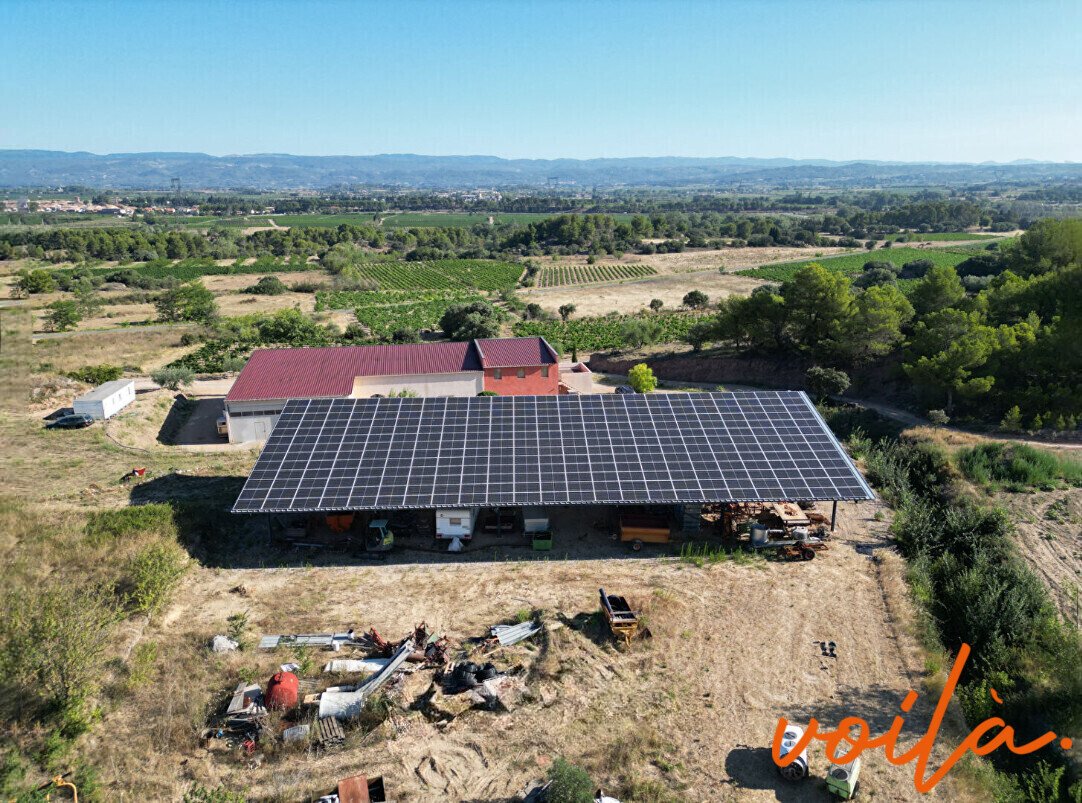 Baliste, Narbonne, France 2 - 18602907