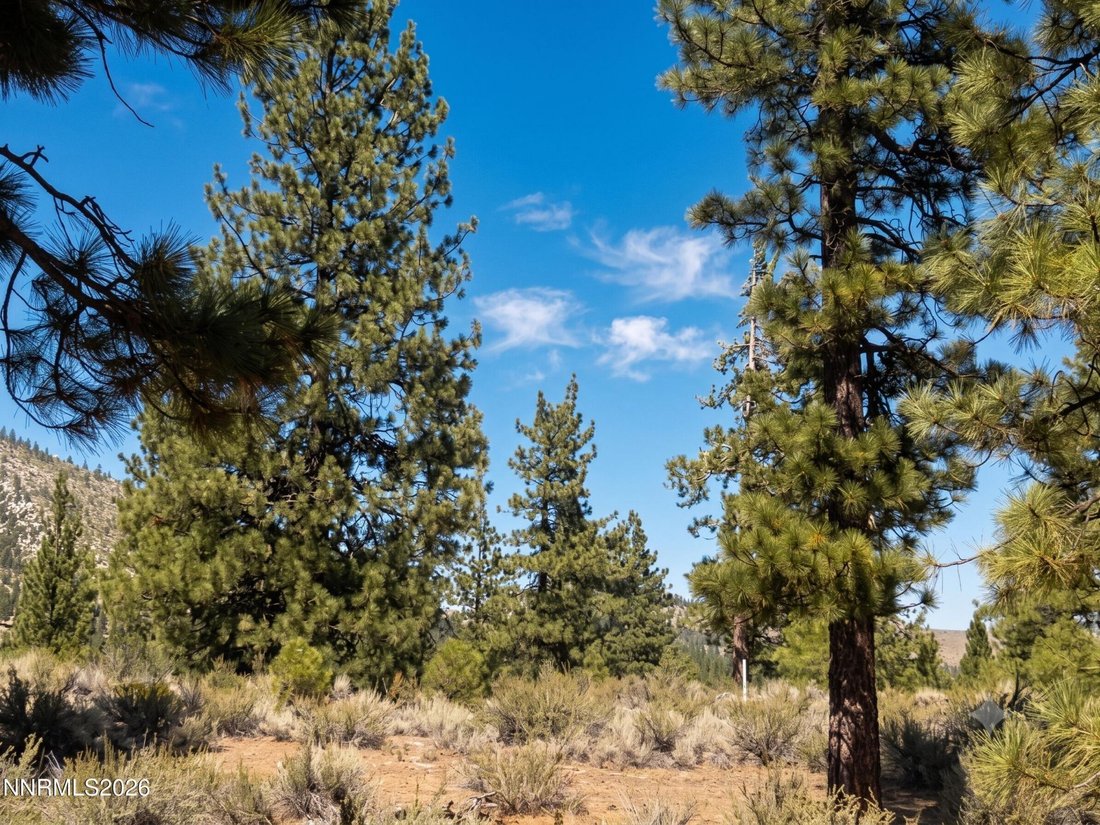 Land in Genoa, Nevada, United States 2 - 18603650