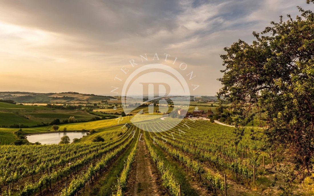 Farm Ranch in Montalcino, Tuscany, Italy 4 - 18598549