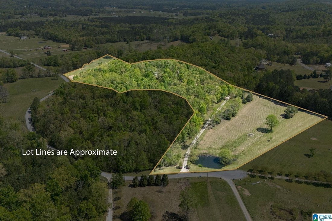 House in Ashville, Alabama, United States 3 - 18095822
