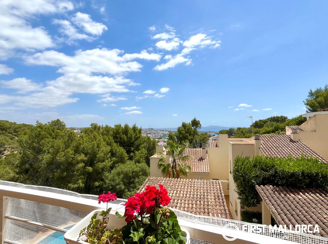 Appartement à Portals Nous, Calvià, Îles Baléares 4 - 18093258