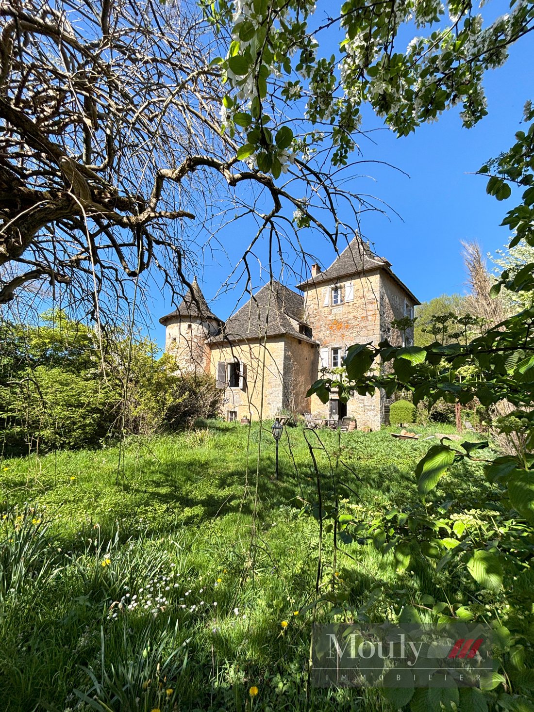 Castle in Aynac, Occitania, France 3 - 18581868