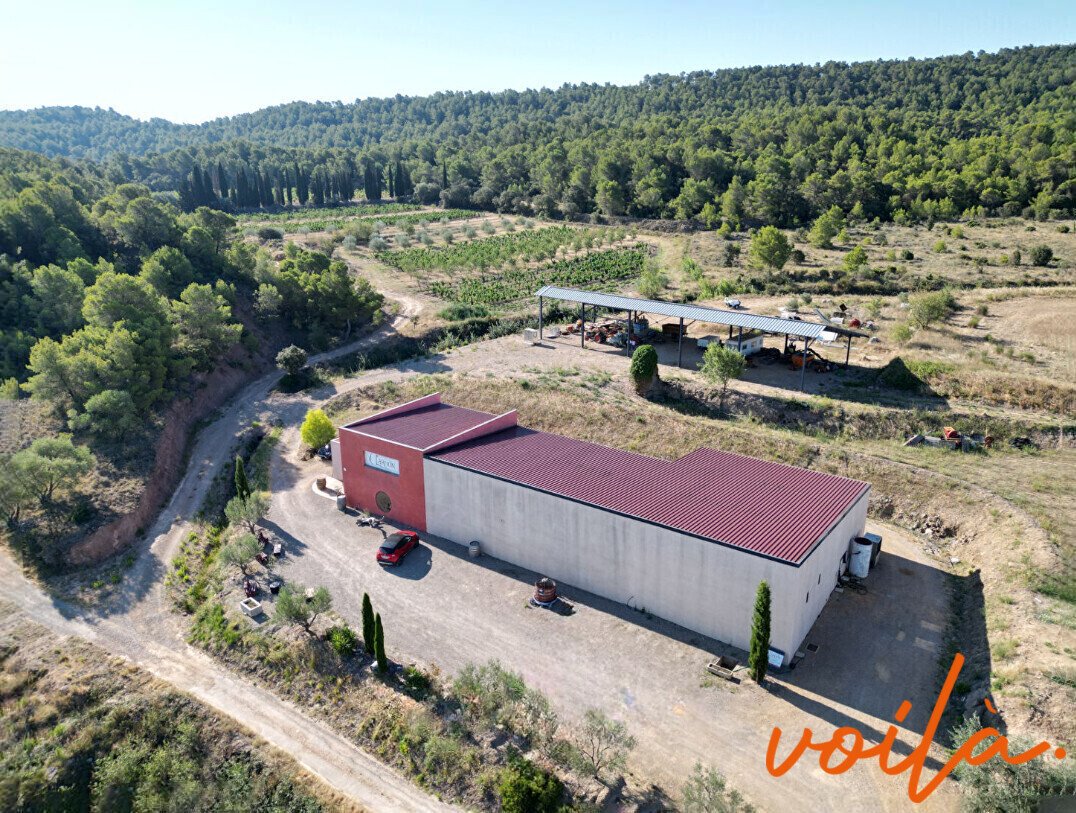 Baliste, Narbonne, France 1 - 18602907