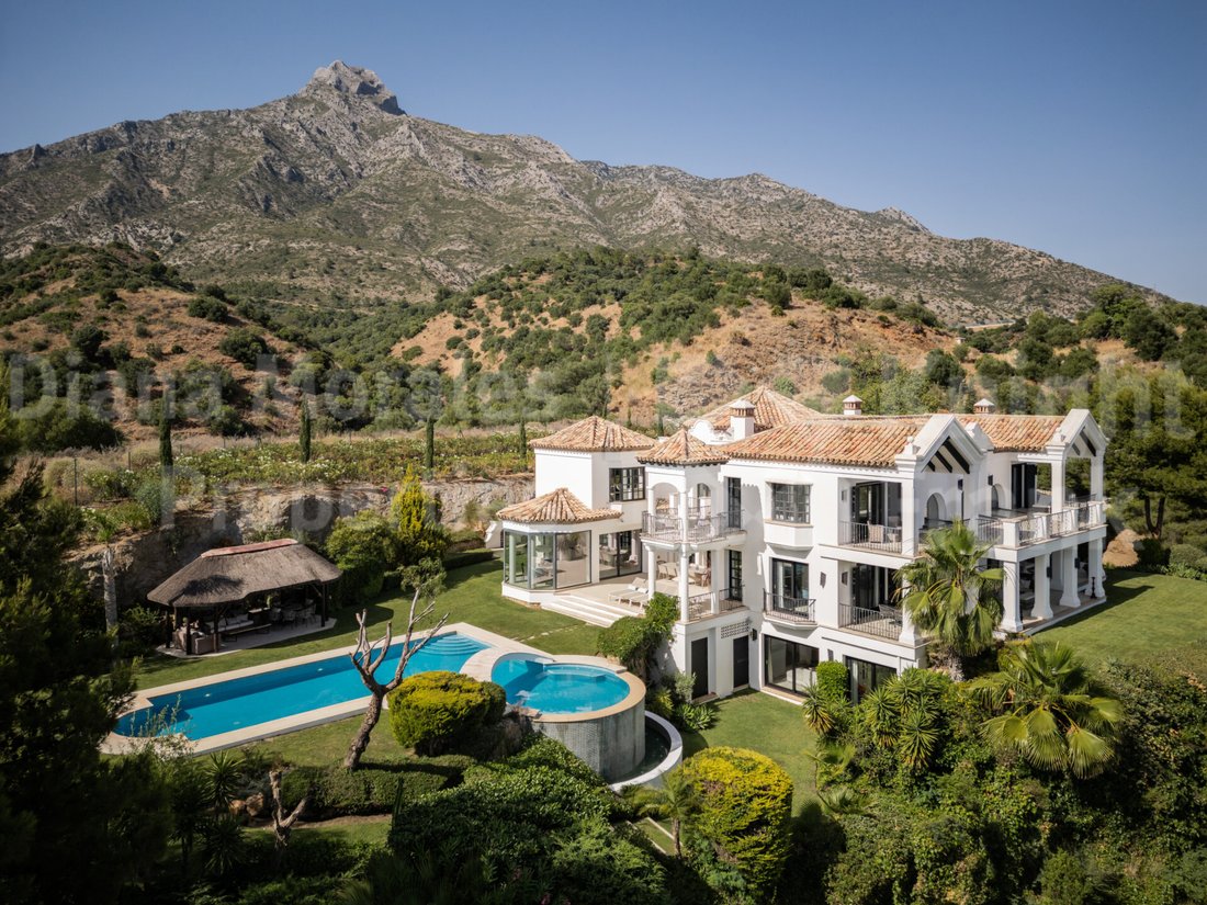 Villa in Marbella, Andalusia, Spain 2 - 18602517