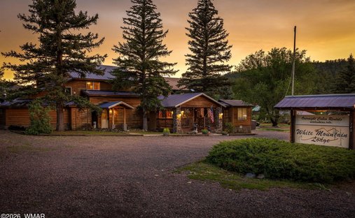 Condo in Greer, Arizona, United States 1