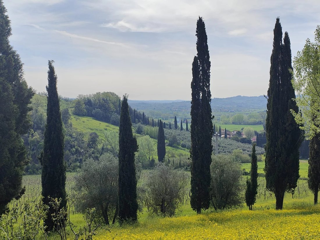 Villa in Center, Cerreto Guidi, Tuscany 4 - 18598333