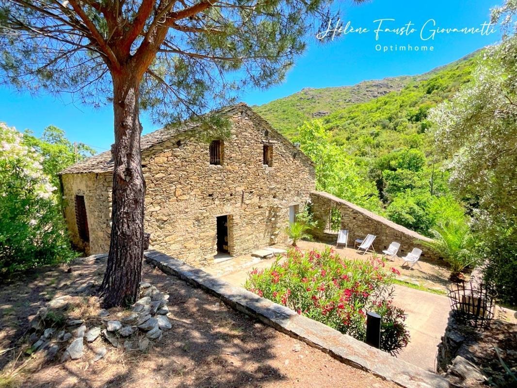 House in Santo-Pietro-di-Tenda, Corsica, France 4 - 18073032