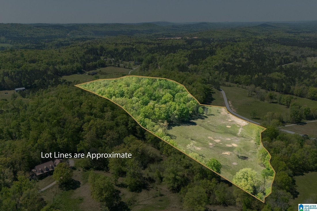 House in Ashville, Alabama, United States 4 - 18095822