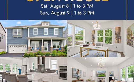 House in Aldie, Virginia, United States 1