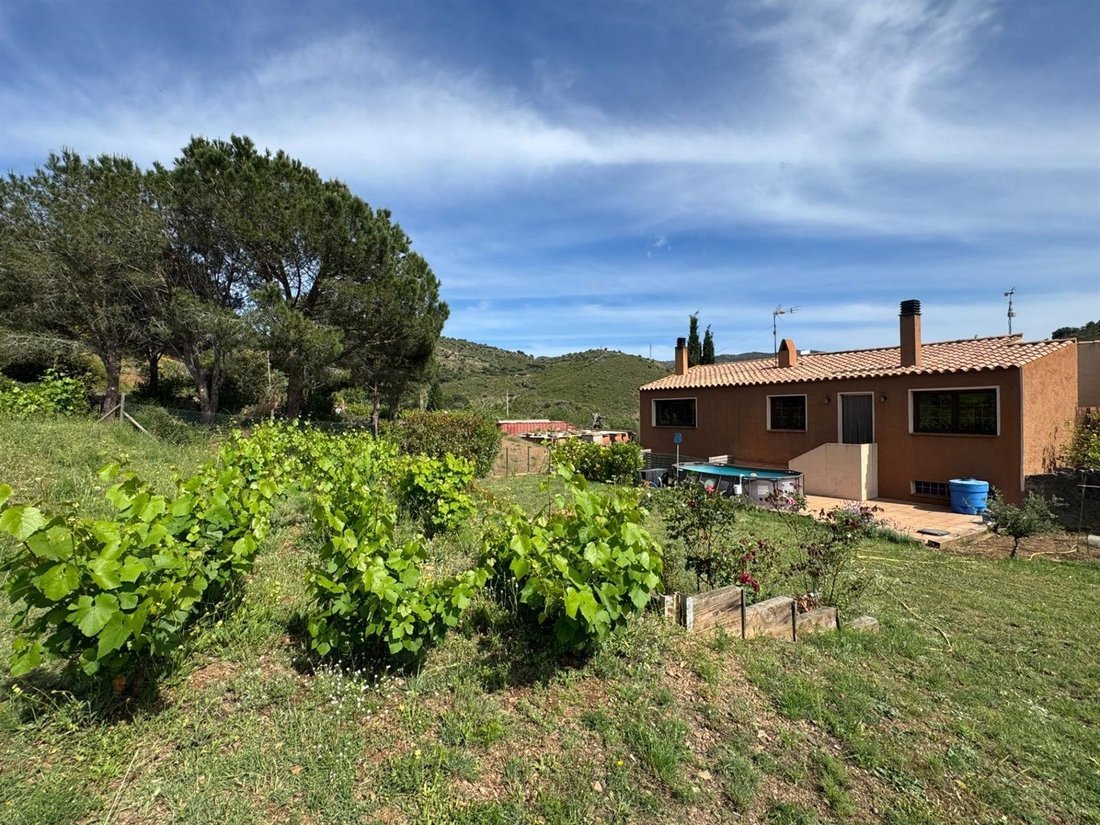 Chalet in Llanca, Catalonia, Spain 5 - 18597084