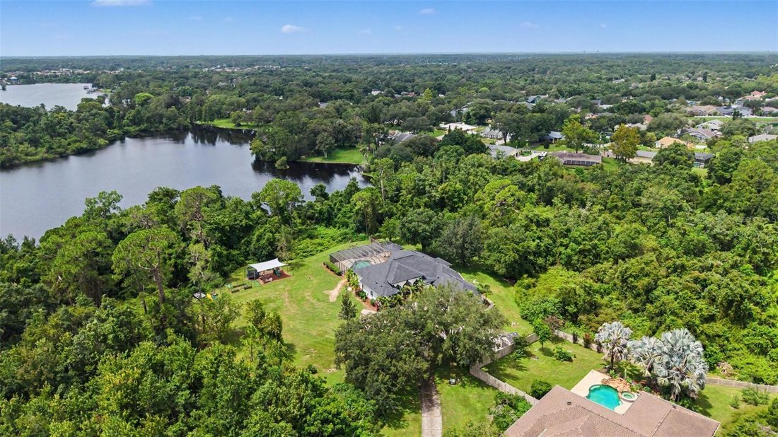 House in Odessa, Florida, United States 5 - 18596735