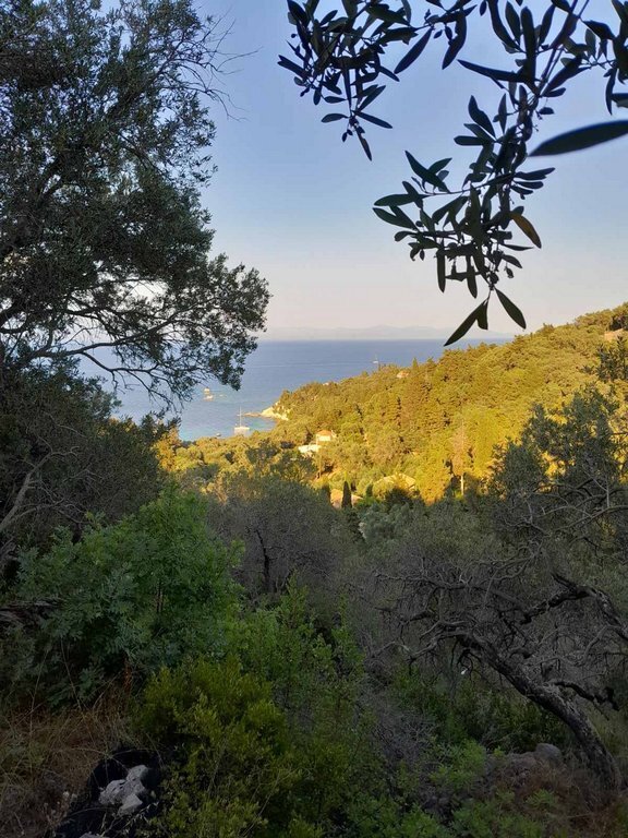 Land in Paxi, Peloponnese, Western Greece and the Ionian, Greece 2 - 18596846