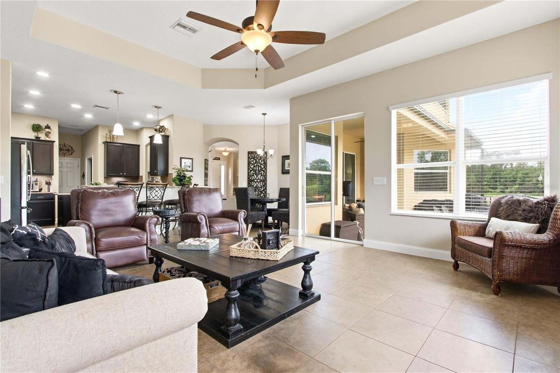 House in Land O' Lakes, Florida, United States 5 - 18601270