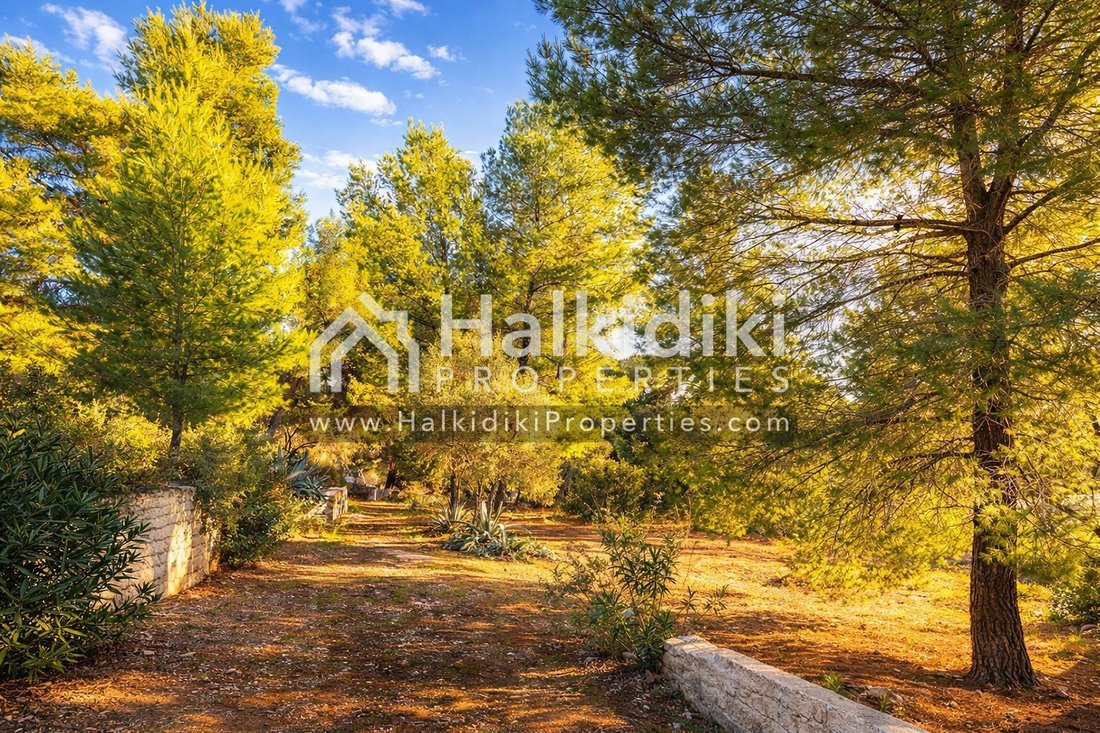 Land in Sithonia, Macedonia and Thrace, Greece 4 - 11865149