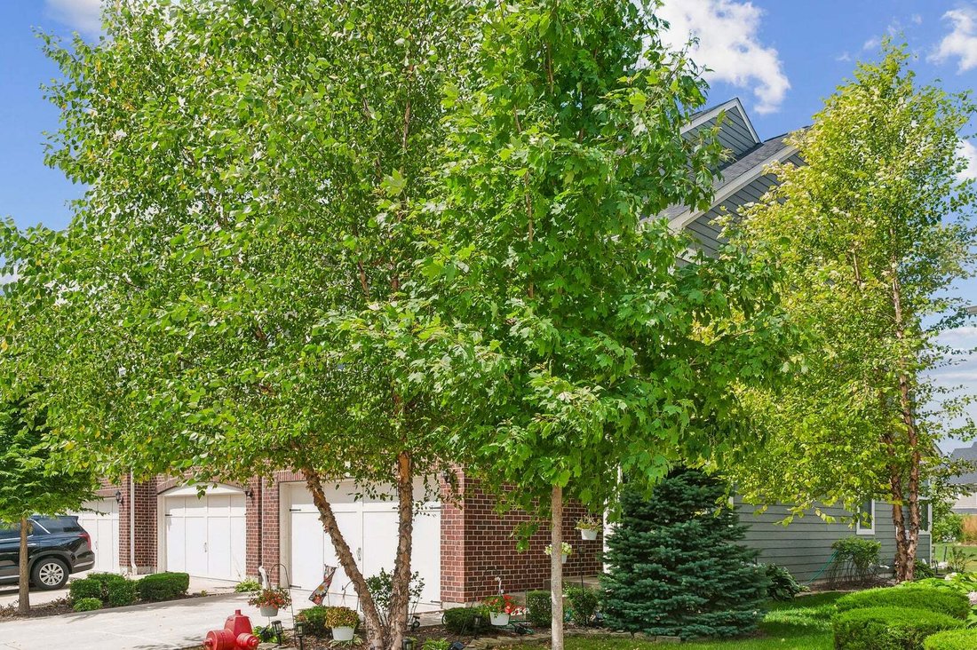 Townhouse in Bloomingdale, Illinois, United States 4 - 18597566