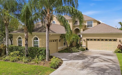 House in Land O' Lakes, Florida, United States 1