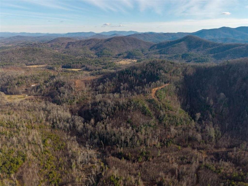 Land in Blue Ridge, Georgia, United States 4 - 18597233