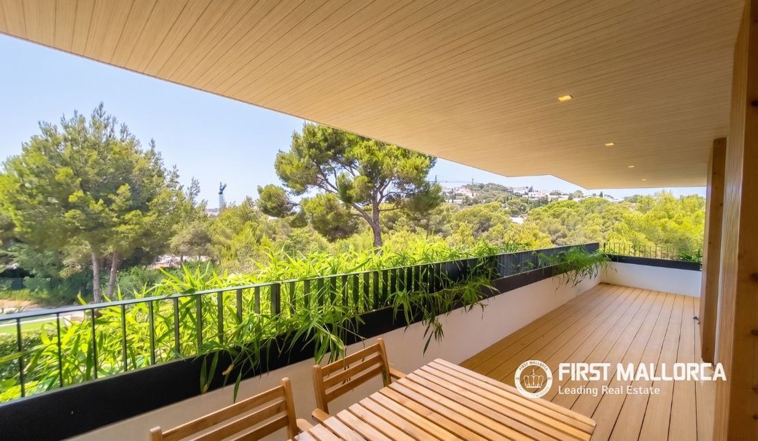 Apartment in Santa Ponsa, Balearic Islands, Spain 4 - 18602665