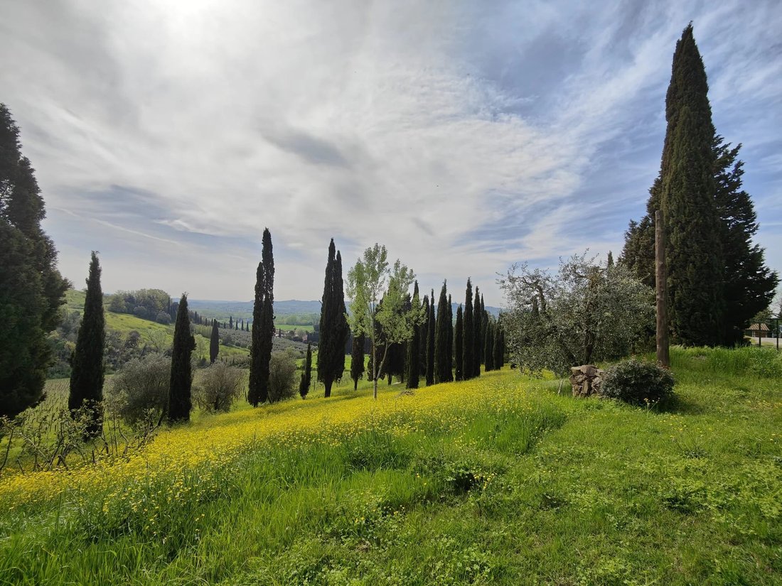 Villa in Center, Cerreto Guidi, Tuscany 5 - 18598333