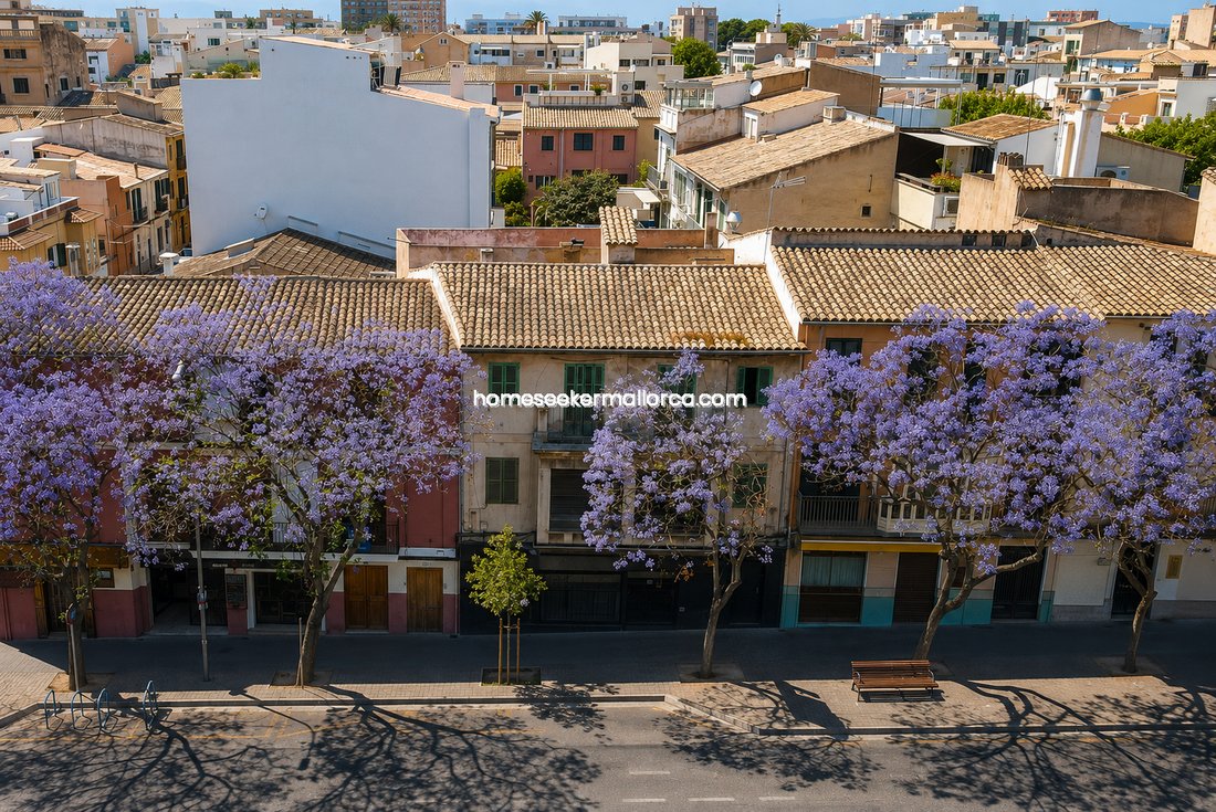 Apartment in Son Vida, Palma, Balearic Islands 1 - 18596934