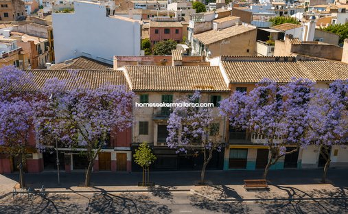 Penthouse in Palma, Balearische Inseln, Spanien 1