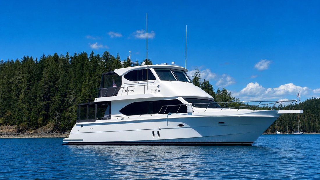 Motor Yacht in United States 4 - 18596924