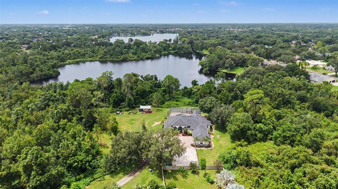 House in Odessa, Florida, United States 4 - 18596735
