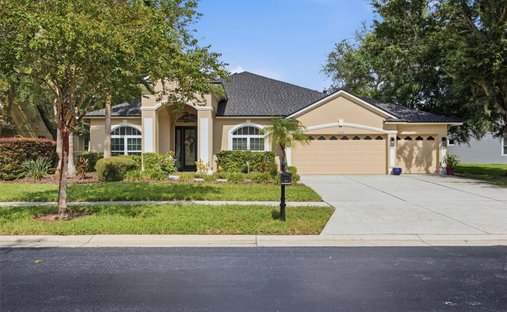 House in Land O' Lakes, Florida, United States 1