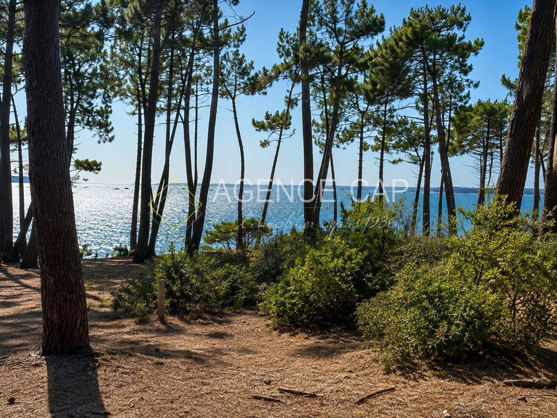 Terreno a Aiguillon, Arcachon, Francia 1 - 18600470