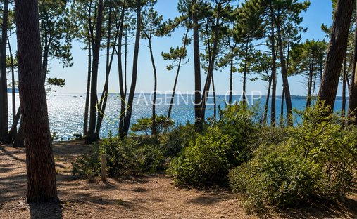 Terreno a Aiguillon, Arcachon, Francia 1