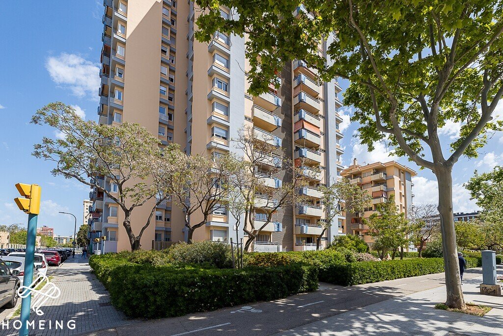 Apartment in Nou Llevant, Palma, Balearic Islands 1 - 17773932