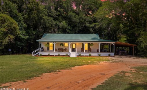 House in Taylorsville, Mississippi, United States 1