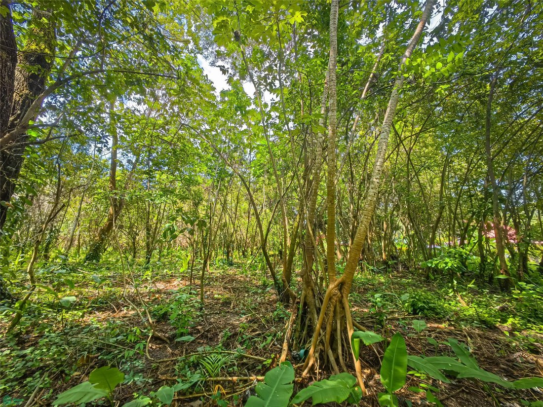 Terrain à Santa Teresa, Puntarenas, Costa Rica 4 - 17810867