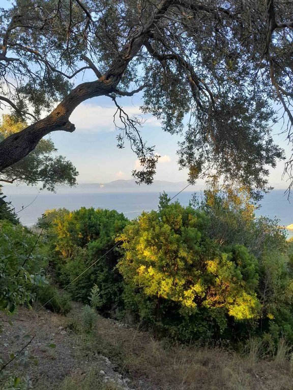 Land in Paxi, Peloponnese, Western Greece and the Ionian, Greece 5 - 18596846