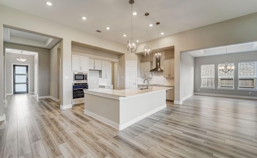 House in Pearland, Texas, United States 1