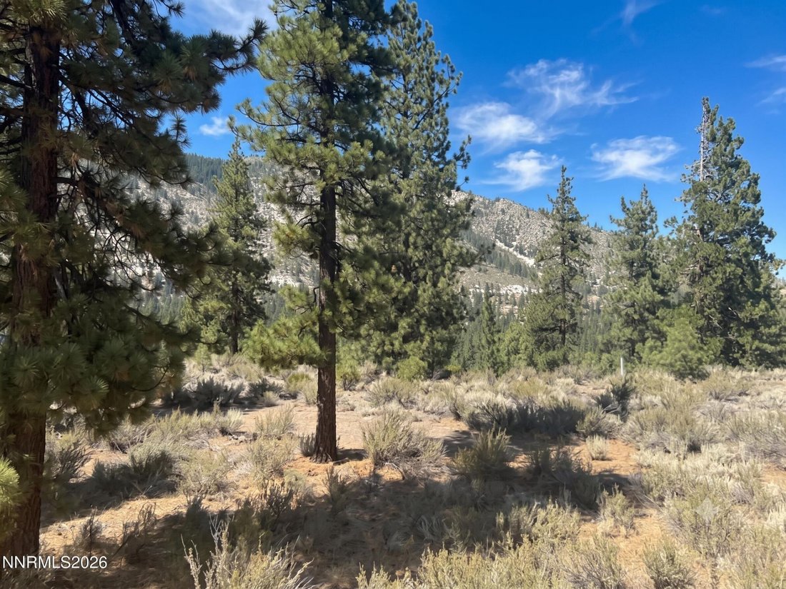 Land in Genoa, Nevada, United States 3 - 18603650