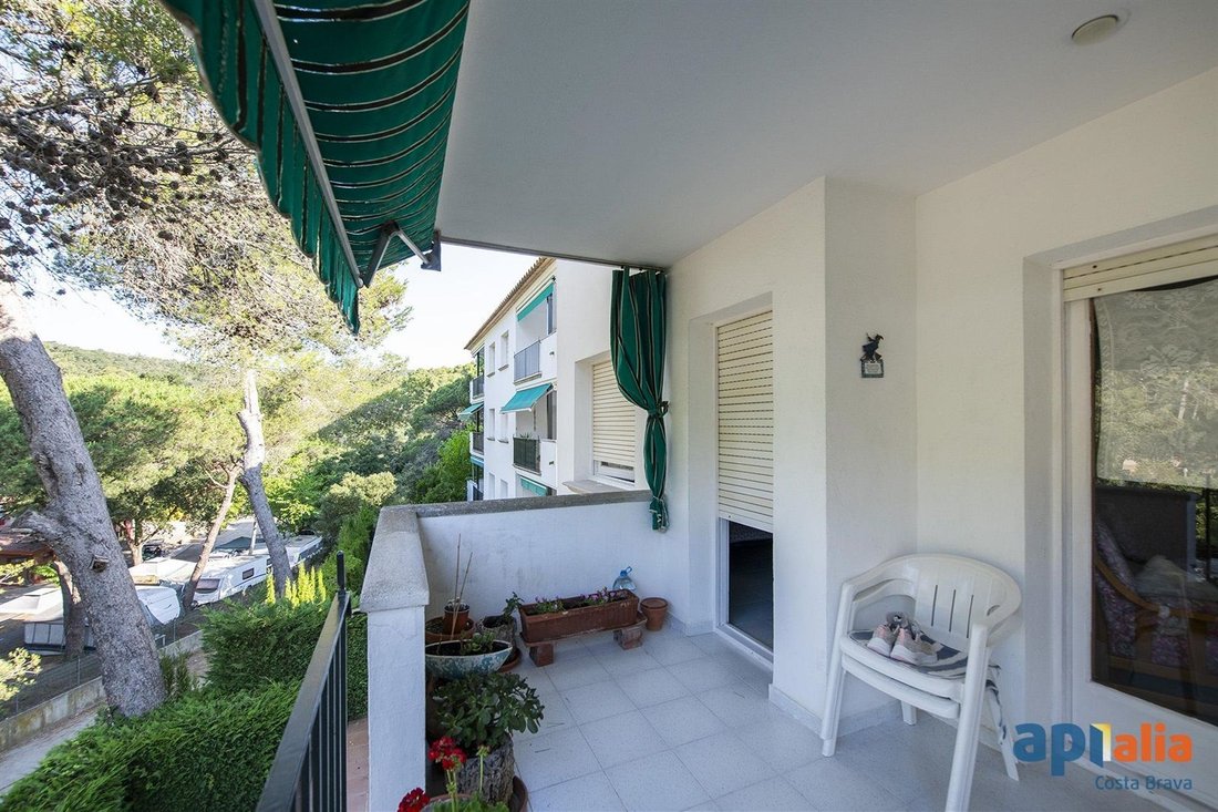 Apartment in Llafranc, Palafrugell, Catalonia 3 - 18597645