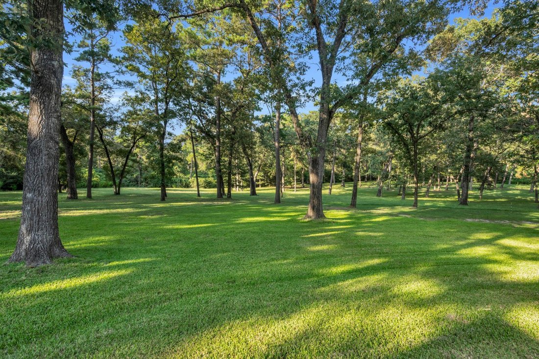 House in Plantersville, Texas, United States 5 - 18602047