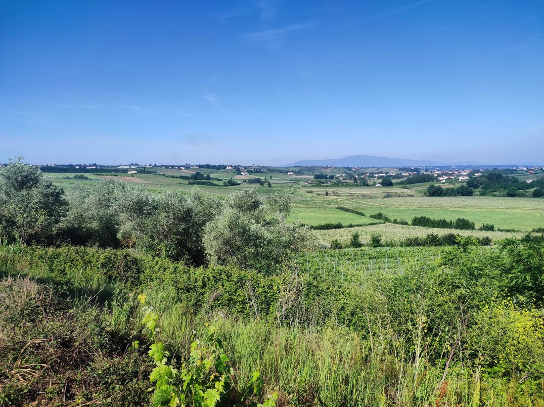 Estate in Center, Cerreto Guidi, Tuscany 4 - 18598335